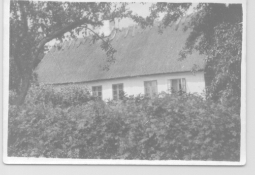 219.PNG - Rosager i dag Rosagervej 14  4720 Præstø.