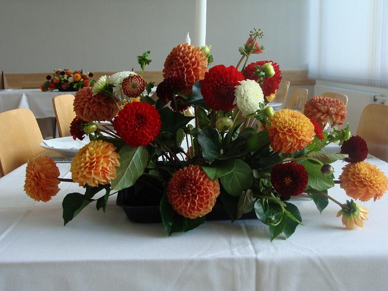 DSC00572.JPG