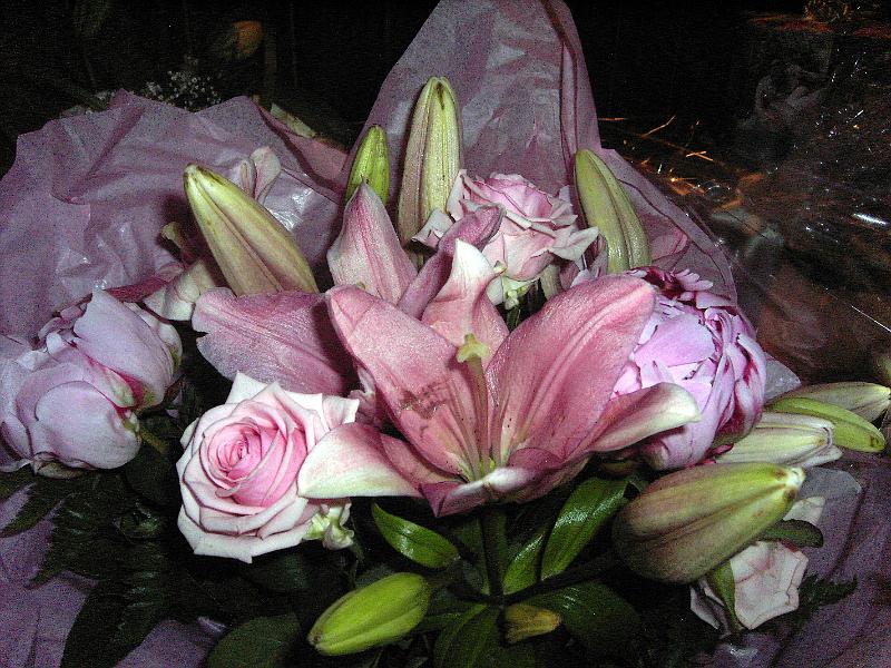 PICT1744.JPG - 2008