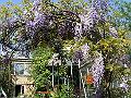 DSC01168