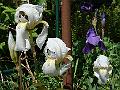 DSC01170