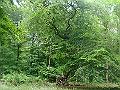 DSC01180