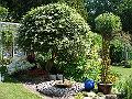DSC01240