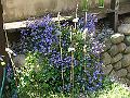 DSC01285