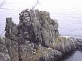 DSC00020