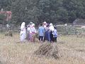 PICT1350