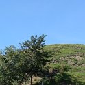 DSC03361