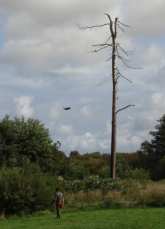 DSC01483.JPG - Ørnereservatet