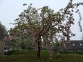 DSC02310