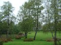 DSC02312