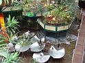 DSC01785
