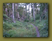 Bornholm 2005