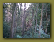 Bornholm 2005