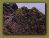 Bornholm 2005