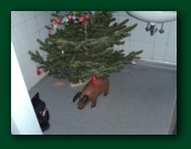 Juletr&aelig;
