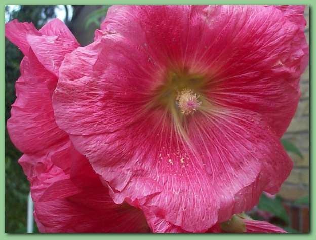 600x449 pixels (116K)