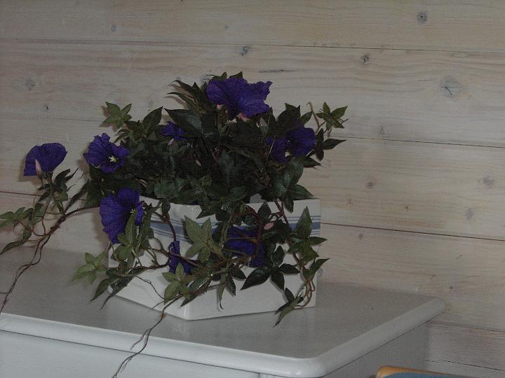 DSC00024.JPG