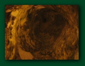 Catacomberne