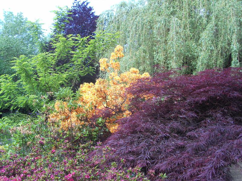PICT1630.JPG - Claude Monet's have (Vandhaven)