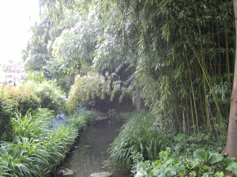 PICT1635.JPG - Claude Monet's have (Vandhaven)