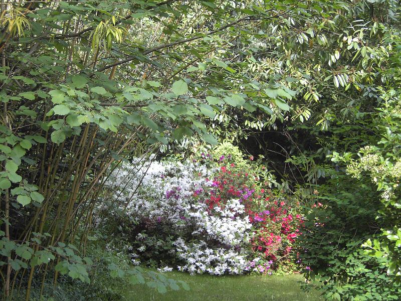 PICT1636.JPG - Claude Monet's have (Vandhaven)