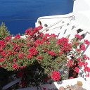DSC05451