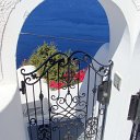 DSC05453