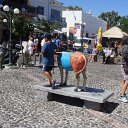 DSC05471