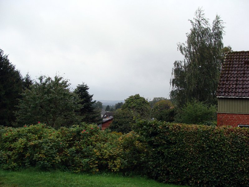 DSC04312.JPG