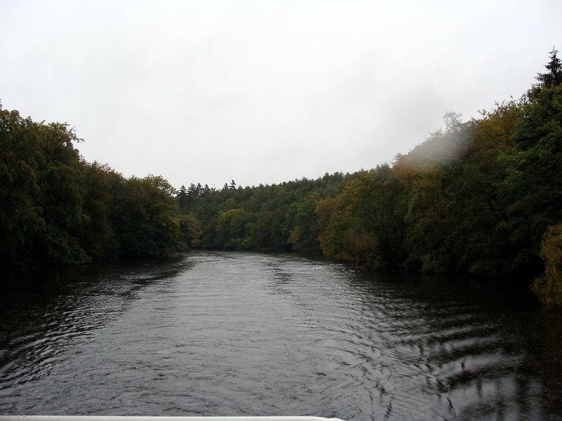 DSC04381.JPG