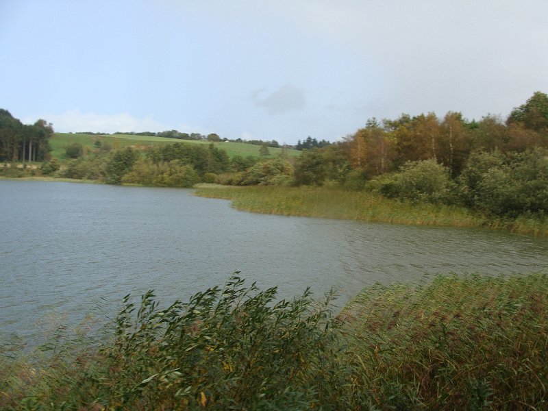 DSC04519.JPG