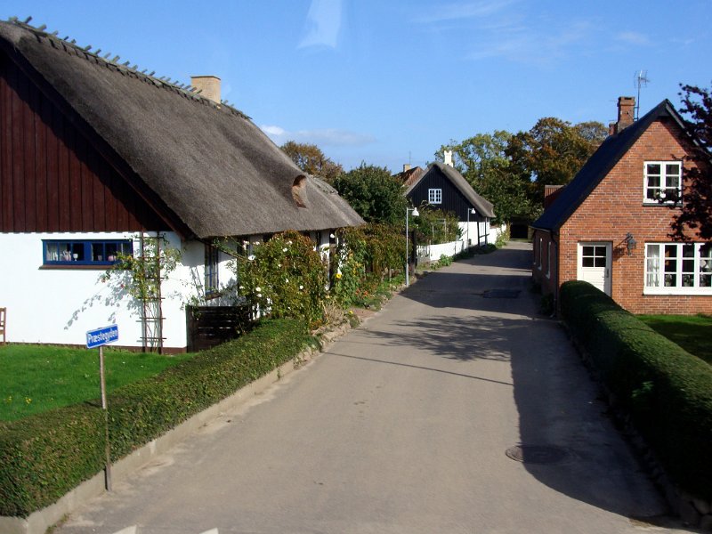 DSC04571.JPG