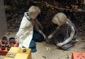 DSC04293