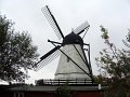 DSC04304