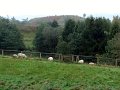 DSC04306