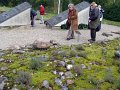 DSC04320