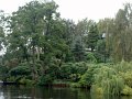 DSC04401