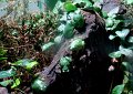 DSC04481