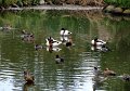 DSC04490