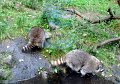 DSC04494