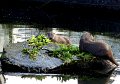 DSC04507