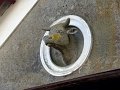 DSC04558