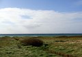 DSC04578