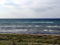 DSC04580
