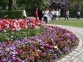 DSC03986