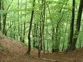 DSC04034