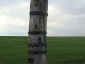 DSC00314
