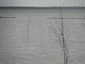 DSC00398