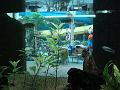 DSC01052
