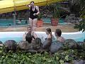 PICT1544